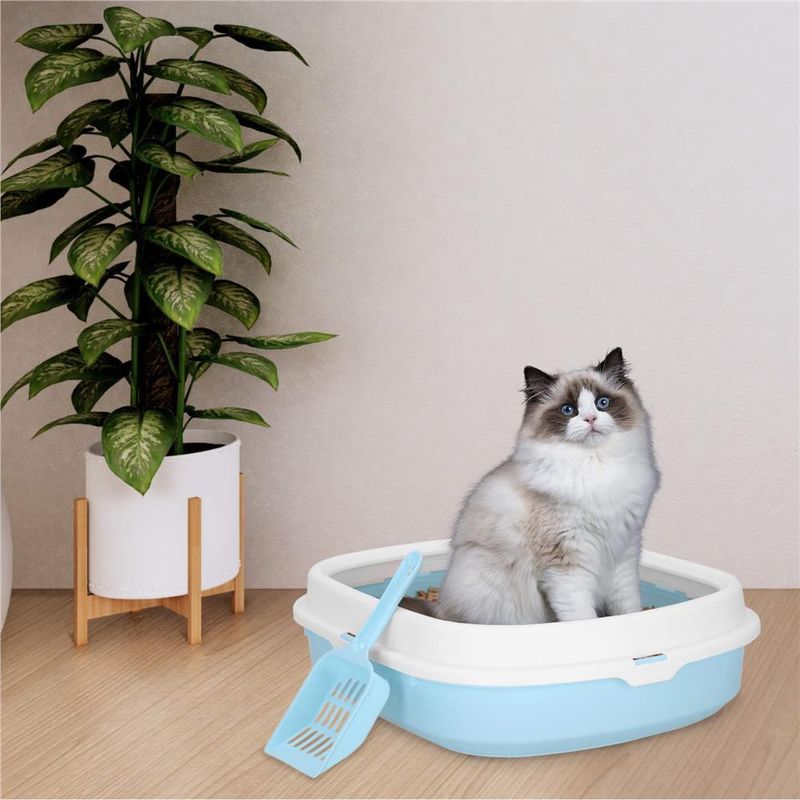 Petshop - Ingrijire si Igiena - Litiere si accesorii - Litiere simple - Litiera pisici lopatica plastic pp montaj simplu 2 piese, 40x33x11 cm, design compact, albastru alb - Infinity.ro