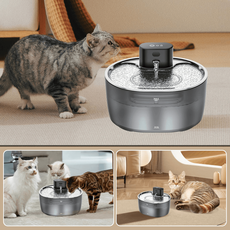 Petshop - Accesorii petshop - Castroane si adapatori - Dispenser apa automat tip Fantana inteligenta pentru pisici si caini, Dasbo®, Capacitate 3.2L, cu Sensor, wireless - Infinity.ro