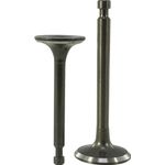 Casa si Gradina - Gradinarit si plante - Utilaje gradina - Consumabile si accesorii utilaje de gradina - Supapa pentru motor termic 15CP V60361 Verke - Infinity.ro