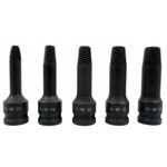 Casa si Gradina - Constructii - Scule de mana si unelte - Seturi scule - Set extractoare pentru suruburi rupte 5 elemente 3/8" V86483 - Infinity.ro