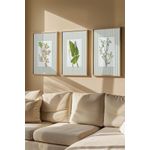 Casa si Gradina - Decoratiuni - Tablouri - Set tablouri cu ramă (3 bucăți) Wallxpert, MDF, 50 x 70 cm, multicolor, 786DKT2240 - Infinity.ro