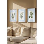 Casa si Gradina - Decoratiuni - Tablouri - Set tablouri cu ramă (3 bucăți) Wallxpert, MDF, 50 x 70 cm, multicolor, 786DKT2239 - Infinity.ro
