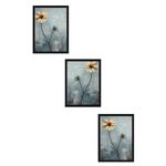 Casa si Gradina - Decoratiuni - Tablouri - Set tablouri MDF cu ramă (3 bucăți) Wallxpert, MDF, 20 x 30 cm, multicolor, 693BSE2153 - Infinity.ro