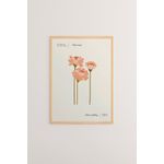 Casa si Gradina - Decoratiuni - Tablouri - Tablou cu ramă Wallxpert, lemn masiv, 33 x 48 cm, multicolor, 786DKT1627 - Infinity.ro