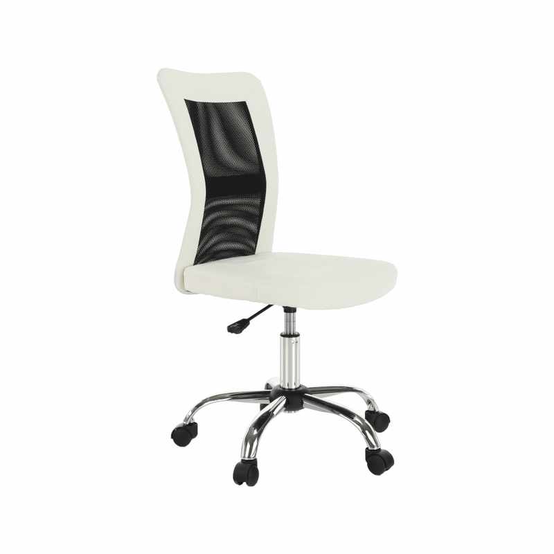 Casa si Gradina - Mobilier - Scaune si fotolii - Fotolii - Fotoliu de birou, negru/alb, IDOR NEW - Infinity.ro