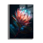 Casa si Gradina - Decoratiuni - Tablouri - Tablou sticlă securizată Wallxpert, sticlă, 50 x 70 cm, multicolor, 544CLR1416 - Infinity.ro