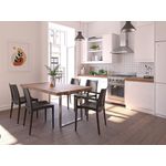 Casa si Gradina - Mobilier - Scaune si fotolii - Scaune - Set scaune (4 bucăți) Hanah Home, 42 x 45 x 81 cm, antracit, 532TLA1114 - Infinity.ro