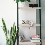 Casa si Gradina - Decoratiuni - Obiecte decorative - Accesorii decorative - Obiect decorativ Aberto Design, 100% poliester, 34 x 18 x 16 cm, multicolor, 565TNL1429 - Infinity.ro