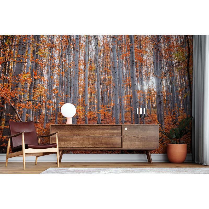 Casa si Gradina - Decoratiuni - Stickere decorative - Pictură perete Wallxpert, 400 x 270 cm, multicolor, 740ELB1282 - Infinity.ro