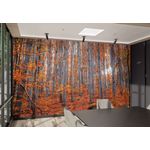 Casa si Gradina - Decoratiuni - Stickere decorative - Sticker decorativ perete Wallxpert, 100 x 100 cm, multicolor, 740ELB1152 - Infinity.ro