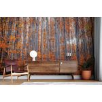 Casa si Gradina - Decoratiuni - Stickere decorative - Sticker decorativ perete Wallxpert, 100 x 100 cm, multicolor, 740ELB1152 - Infinity.ro