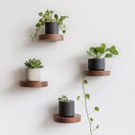 Casa si Gradina - Mobilier - Biblioteci si rafturi - Rafturi - Raft decorativ lemn Hanah Home, lemn masiv, lemn, set 4 piese, 792EVL2935 - Infinity.ro