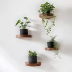 Casa si Gradina - Mobilier - Biblioteci si rafturi - Rafturi - Raft decorativ lemn Hanah Home, lemn masiv, lemn, set 4 piese, 792EVL2935 - Infinity.ro