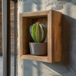 Casa si Gradina - Mobilier - Biblioteci si rafturi - Rafturi - Raft decorativ lemn Hanah Home, lemn masiv, 14 x 7 x 15 cm, negru, 792EVL2932 - Infinity.ro
