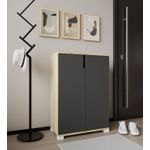 Casa si Gradina - Mobilier - Dulapuri si sifoniere - Dulapuri pantofi - Pantofar Hanah Home, PAL melaminat, 60 x 34 x 97 cm, sapphire stejar/antracit, 469ORN1302 - Infinity.ro