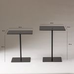 Casa si Gradina - Mobilier - Mese si birouri - Masute de cafea - Set măsuțe cafea Hanah Home, PAL melaminat, 40 x 40 x 45 cm, negru/fume, 552NOS2577 - Infinity.ro