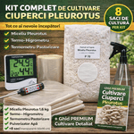 Casa si Gradina - Gradinarit si plante - Plante si ghivece - Bulbi, seminte si rasaduri - Kit complet pentru cultivare Pleurotus Incepator - Infinity.ro