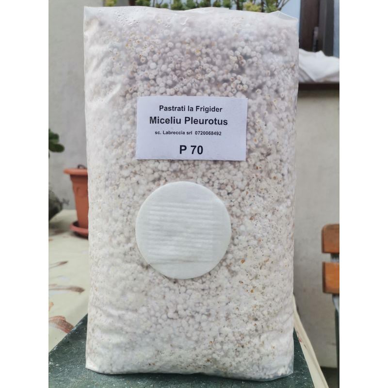 Casa si Gradina - Gradinarit si plante - Plante si ghivece - Bulbi, seminte si rasaduri - Kit complet pentru cultivare Pleurotus Incepator - Infinity.ro