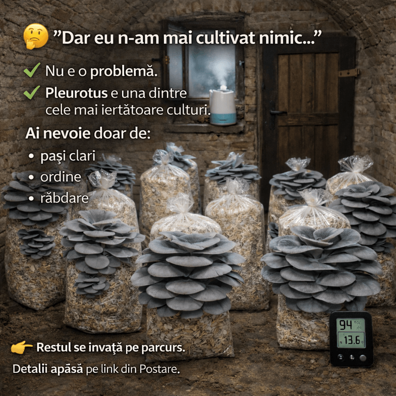 Casa si Gradina - Gradinarit si plante - Plante si ghivece - Bulbi, seminte si rasaduri - Kit complet pentru cultivare Pleurotus Incepator - Infinity.ro