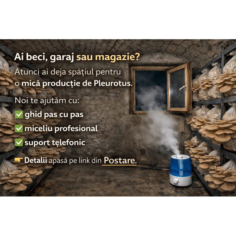 Casa si Gradina - Gradinarit si plante - Plante si ghivece - Bulbi, seminte si rasaduri - Kit complet pentru cultivare Pleurotus Incepator - Infinity.ro