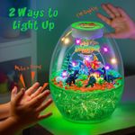 Casa si Gradina - Corpuri si surse de iluminat - Veioze si lampi - Lampi de veghe - Lumina de noapte in forma de terariu cu dinozauri si accesorii pentru o lume magica - Infinity.ro
