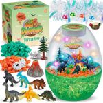 Casa si Gradina - Corpuri si surse de iluminat - Veioze si lampi - Lampi de veghe - Lumina de noapte in forma de terariu cu dinozauri si accesorii pentru o lume magica - Infinity.ro