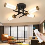 Casa si Gradina - Corpuri si surse de iluminat - Plafoniere, aplice si spoturi - Lampa plafon cu 4 leduri si telecomanda, 17W cu 3 culori lumina - Infinity.ro