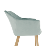 Casa si Gradina - Mobilier - Scaune si fotolii - Scaune - Scaun, material menta / fag, ODOVEL - Infinity.ro