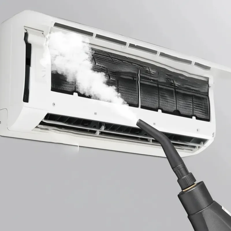 Electronice si Electrocasnice - Ingrijirea tesaturilor - Aparate de calcat cu aburi - Curatitor cu abur , 2500 W, 6 trepte, incalzire rapida, portabil - Infinity.ro