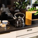 Casa si Gradina - Bucatarie si vesela - Vase pentru gatit - Ceainice si infuzoare - Ceainic, Teesa, 3L, otel inoxidabil, pentru toate tipurile de plite, negru - Infinity.ro