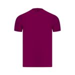 Sport si Outdoor - Echipament Sportiv - Imbracaminte sport - Tricouri sport - Tricou barbati U.S. Polo Luca roz - Infinity.ro