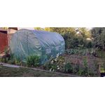 Casa si Gradina - Gradinarit si plante - Sere si solarii - Sera gradina tip tunel 250x400x200 cm, folie PE 140g/m2 UV4, 3 segmente, 6 ferestre rulante, usa blocabila, 10 mp, verde - Infinity.ro