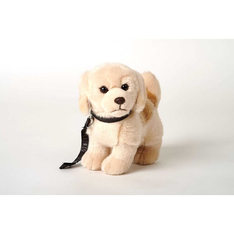 Jucarii, Copii si Bebe - Jucarii si jocuri - Jucarii de plus - Caine de plus Labrador - Golden Retriever cu lesa 23cm nat geo - Infinity.ro