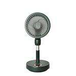 Electronice si Electrocasnice - Climatizare si sisteme de incalzire - Aparate racire aer - Ventilatoare - Ventilator telescopic cu telecomanda, portabil, reincarcabil USB, acumulatori 10000mAh Verde - Infinity.ro