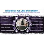 Casa si Gradina - Sanitare - Cazi si cabine de dus - Accesorii cada - Perna baie pentru cada, 6 ventuze, ergonimica, suport cap barbati si femei, 3D Mesh - Infinity.ro