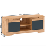 Casa si Gradina - Mobilier - Mese si birouri - Masute de cafea - Masuta RTV B, stejar craft auriu / gri grafit, FIDEL - Infinity.ro