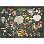 Jucarii, Copii si Bebe - Jucarii si jocuri - Jocuri si puzzle - Puzzle - PUZZLE TREFL 500 PREMIUM PLUS FINDERS KEEPERS CIUPERCI - Infinity.ro
