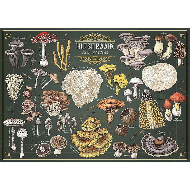 Jucarii, Copii si Bebe - Jucarii si jocuri - Jocuri si puzzle - Puzzle - PUZZLE TREFL 500 PREMIUM PLUS FINDERS KEEPERS CIUPERCI - Infinity.ro
