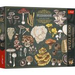 Jucarii, Copii si Bebe - Jucarii si jocuri - Jocuri si puzzle - Puzzle - PUZZLE TREFL 500 PREMIUM PLUS FINDERS KEEPERS CIUPERCI - Infinity.ro