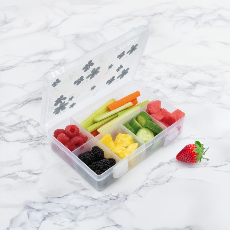 Jucarii, Copii si Bebe - Hrana si alaptare - Biberoane, suzete si accesorii hranire - Articole hranire bebelusi - CUTIE SNACK 8 COMPARTIMENTE, MELII, PRINT FLORI - Infinity.ro