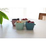 Jucarii, Copii si Bebe - Hrana si alaptare - Biberoane, suzete si accesorii hranire - Articole hranire bebelusi - SET 4 RECIPIENTE SILICON SNAP&GO, MELII LUXE, 4*118 ML - Infinity.ro