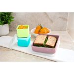 Jucarii, Copii si Bebe - Hrana si alaptare - Biberoane, suzete si accesorii hranire - Articole hranire bebelusi - RECIPIENT SILICON PENTRU SANDWICH, MELII, PINK - Infinity.ro