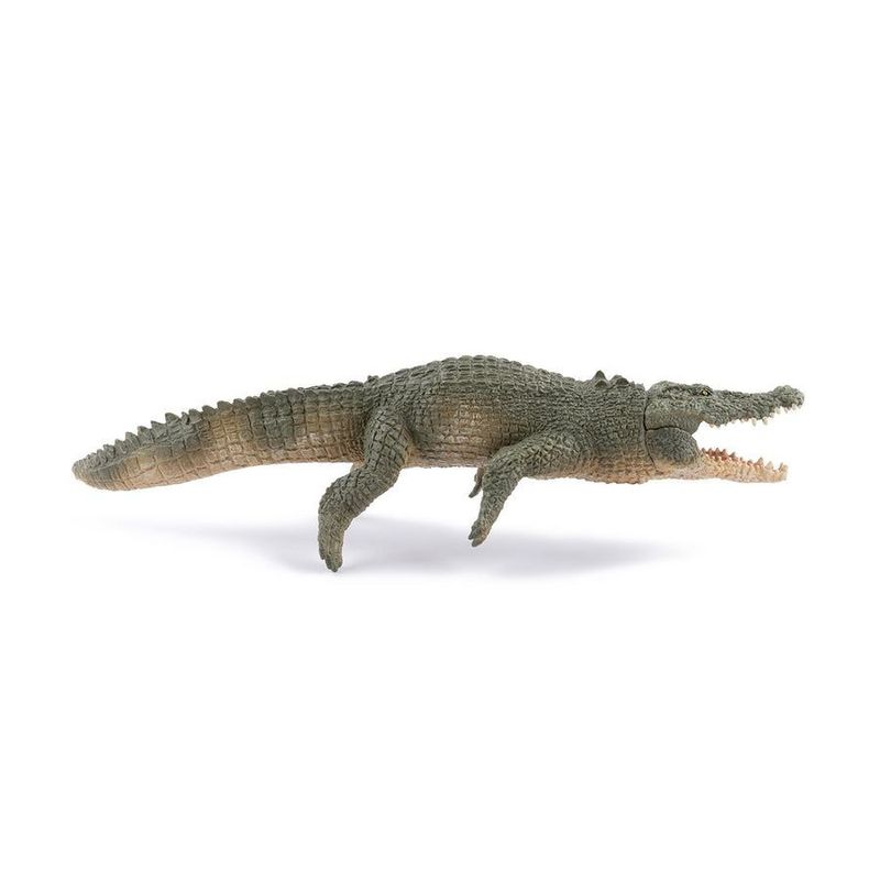 Jucarii, Copii si Bebe - Jucarii si jocuri - Figurine - PAPO FIGURINA CROCODIL DE APA SARATA - Infinity.ro