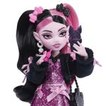 Jucarii, Copii si Bebe - Jucarii si jocuri - Papusi si accesorii - Papusi - MONSTER HIGH PAPUSA DRACULAURA CU ACCESORII - Infinity.ro