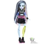 Jucarii, Copii si Bebe - Jucarii si jocuri - Papusi si accesorii - Papusi - MONSTER HIGH PAPUSA FRANKIE STEIN CU ACCESORII - Infinity.ro