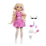 Jucarii, Copii si Bebe - Jucarii si jocuri - Papusi si accesorii - Papusi - BARBIE DREAM BESTIES PAPUSA BARBIE MALIBU CU ACCESORII - Infinity.ro