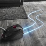 Electronice si Electrocasnice - Ingrijirea locuintei - Aspiratoare - Aspirator cu sac Rowenta RO4933EA, 900W, Clasa A, 75 dB, 4.5 L, Negru - Infinity.ro