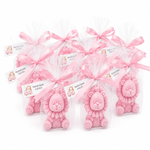 Market - Cadouri - Cadouri personalizate - Set de 10 marturii pentru botez, model Leu, culoare roz - Infinity.ro