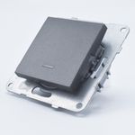 Casa si Gradina - Electrice - Distributie electrica si comanda - Intrerupatoare - Intrerupator simplu cu led, 10A, IP20, Grafit, Panasonic Arkedia Slim/Karre Plus Plus - Infinity.ro