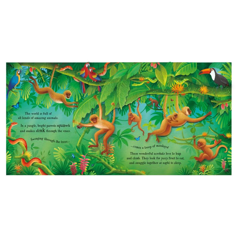 Carti si Birotica - Carti - Carti pentru copii - Carti interactive - Pop-Up Animals – Carte pentru copii 5+ ani, Usborne - Infinity.ro